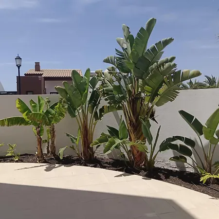 Διαμέρισμα Homeforguest Flat With Large Terrace In Modern Residential Complex With Swimming Pool Caleta De Fuste